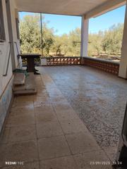 Finca rústica a Pueblo. Terreno 1700m2 con caseta 70m2