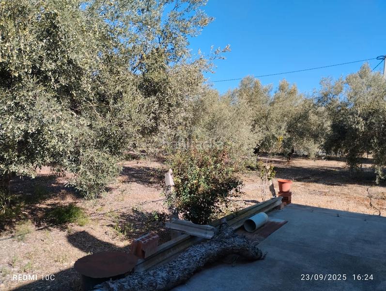 Foto 4daff686-be46-4a89-810a-cdee76b5f29b. Finca rústica terreno 1700m2 con caseta 70m2 en Pueblo Benicarló