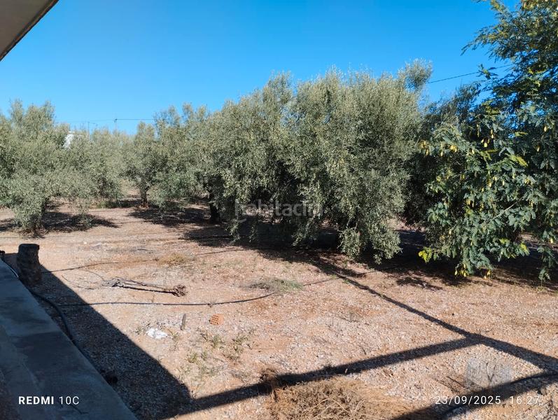 Foto afa6f096-5cff-4539-bb65-eaa1a73a9eb9. Finca rústica terreno 1700m2 con caseta 70m2 en Pueblo Benicarló