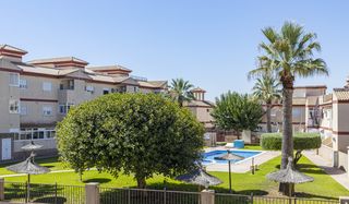 Appartamento in San pedro del pinatar - c/ estornino, 1, bl 5, pt 38 1. Apartamento junto a la playa y frente a las salinas de san pedro