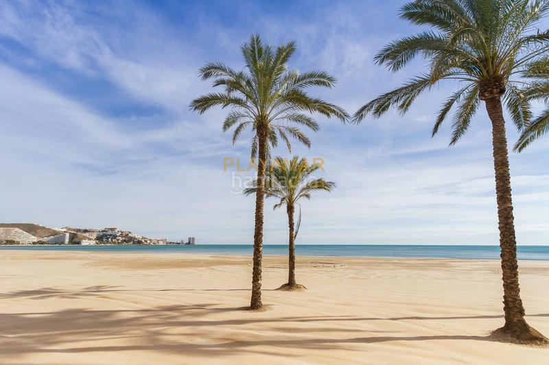 Foto 84c61784-6285-43eb-bd39-1b1194158845. Dúplex amb piscina a El Faro Cullera