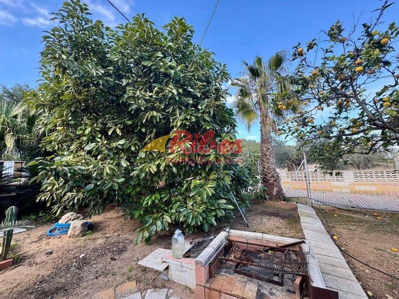 Foto 6af18206-a4ff-4515-a225-10022710a955. Bauernhof in plaza numero 5 291 in Favara