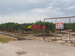Finca rústica a Bulevar del Xúquer. Terreno rústico en cullera  zona el valo