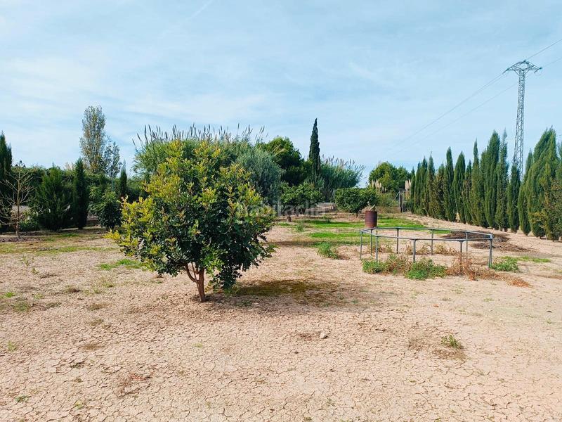 Foto 414cdee9-568f-4898-be5a-bae839719d39. Propriété dans Sueca Sueca