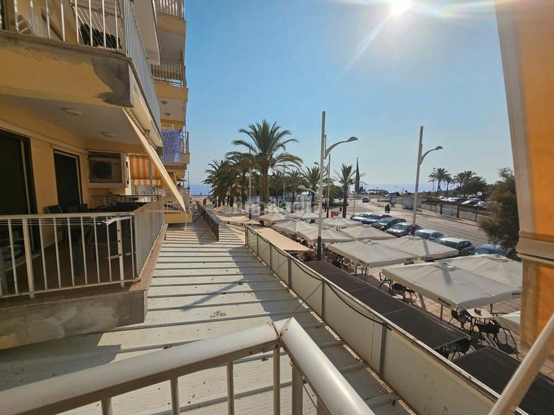 Foto 4c168110-f00b-47b8-9a16-e7743b531be8. Appartamento con parcheggio in Oliva playa Oliva