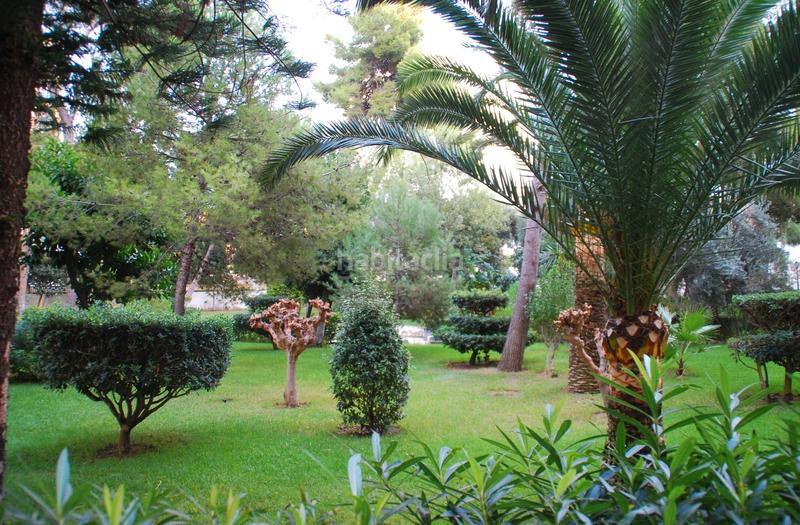 Foto 1a014f09-6d36-48b8-acea-f00d0044c1d4. Dachwohnung mit parking pool in Playa de Gandía Gandia