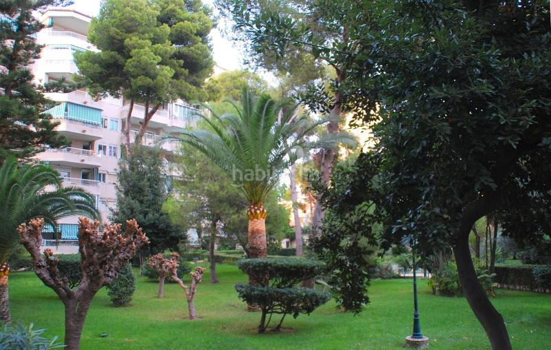 Foto 1c3beddd-d86e-4a0e-b9e1-546406754c2d. Dachwohnung mit parking pool in Playa de Gandía Gandia