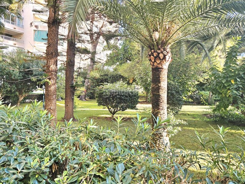 Foto c85aa6f4-a272-42d0-aea5-44077971c7e1. Dachwohnung mit parking pool in Playa de Gandía Gandia