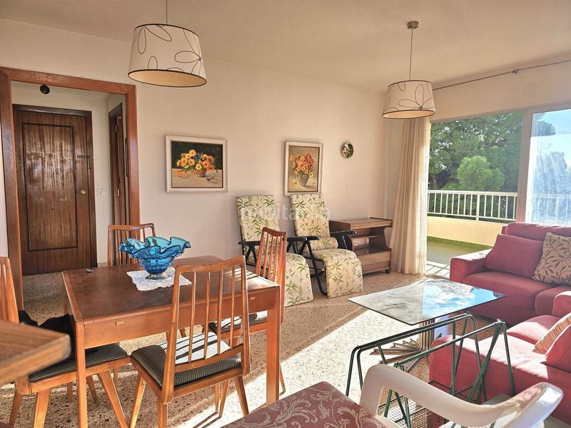 Foto 65546029-fac6-4bbf-a0f9-74fb12621343. Pis a Playa de Gandía Gandia