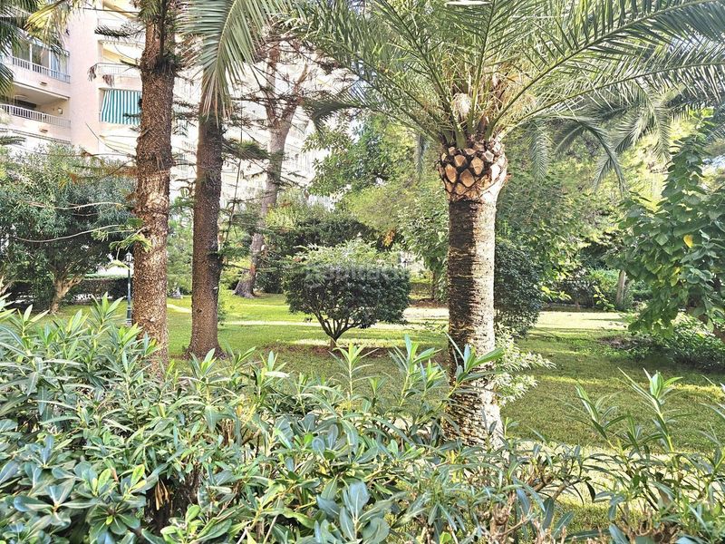 Foto b064c0cb-0edb-48c7-aebb-27c2802be1ac. Pis a Playa de Gandía Gandia