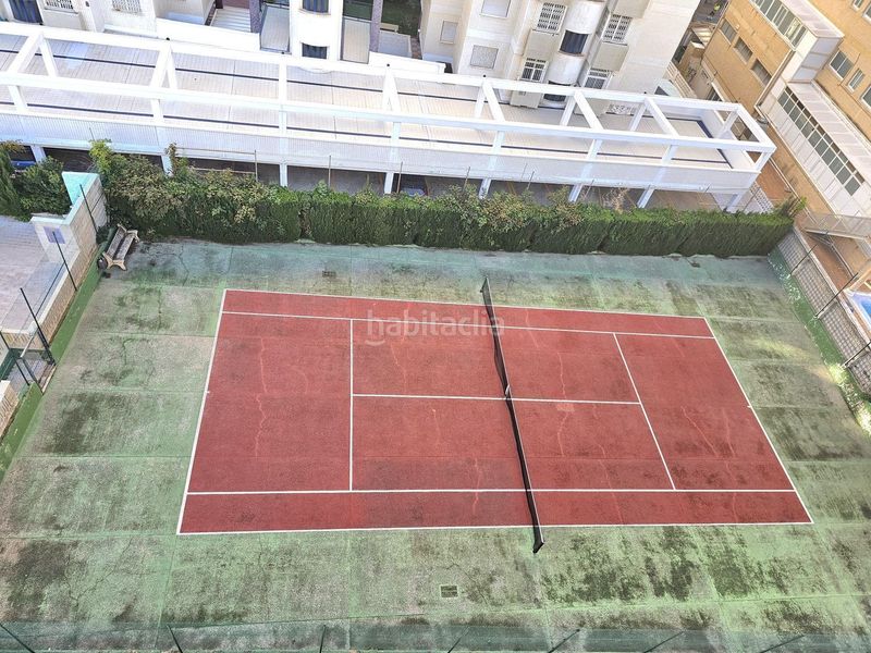 Foto f84b834b-27b6-4a6c-bcbd-47a93bfbf6d0. Pis a Playa de Gandía Gandia