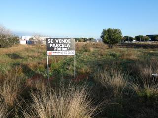 Terreny residencial a El Vedat - Santa Apolonia