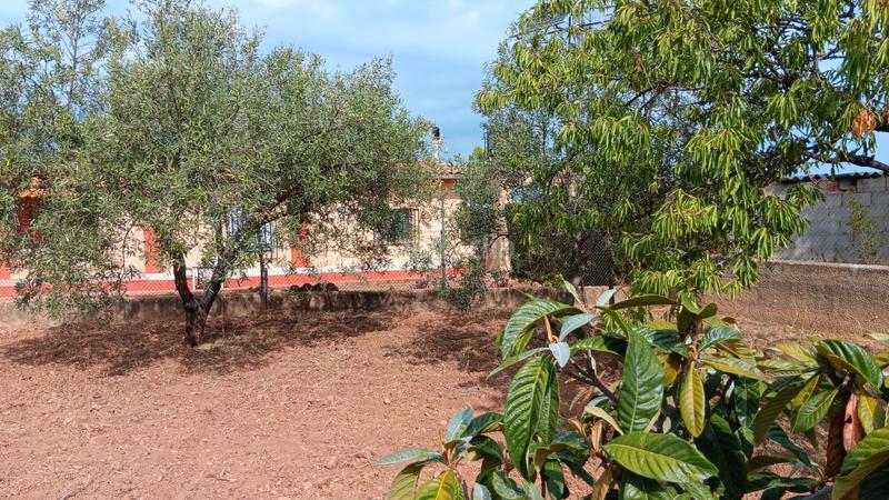 Foto d6cc558d-868e-4349-add3-5fc2d70357e6. Chalet se vende chalet en Cheste