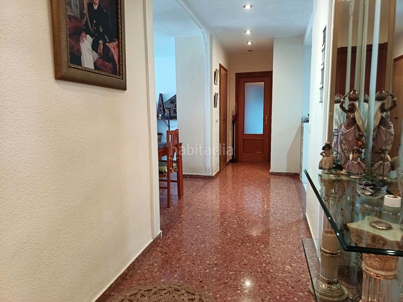 Foto ef5275df-66cf-4a31-b57f-b34dd29ec608. Pis a Albal