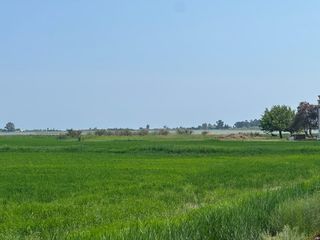 Residential Plot in Nord. Oportunidad finca rústica  arrozal