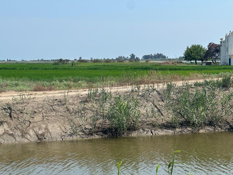 Foto c636c1f2-f51d-4f4d-8f0d-80b391d5612a. Masía oportunidad finca rústica arrozal en Nord La Ràpita