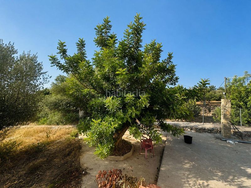 Foto 725efcbc-5b88-4572-b2e0-eab81f47d3e9. Chalet  zona carroba en Grau - Quintanes Amposta