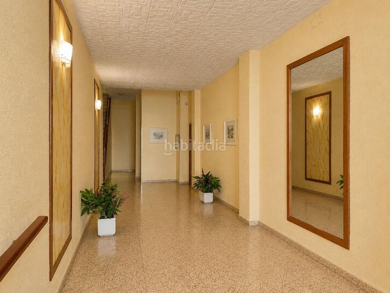 Foto 0dd1253d-7f00-4c84-a5f1-fee3bc33427d. Pis a Valletes - Xiribecs Amposta