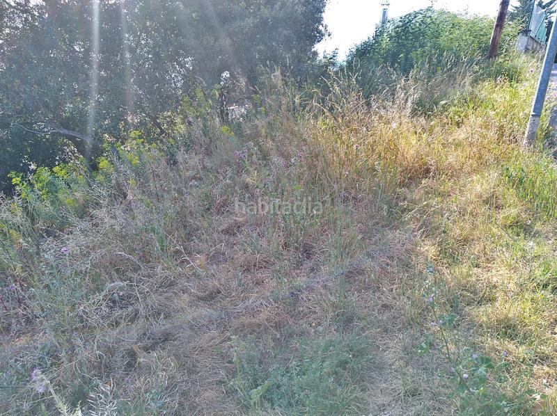 Foto e6fff53e-68d8-4cbf-8635-03a885f7b3ba. Terreny residencial a Mas Mora-Sant Daniel Tordera