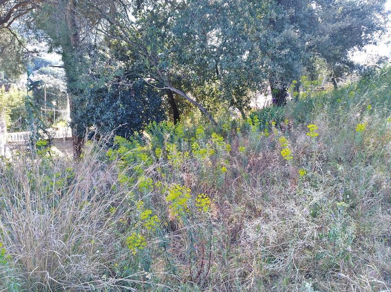 Foto 3c5522a1-70fc-40da-854f-326acb16fd50. Terreno residenziale in Mas Mora-Sant Daniel Tordera