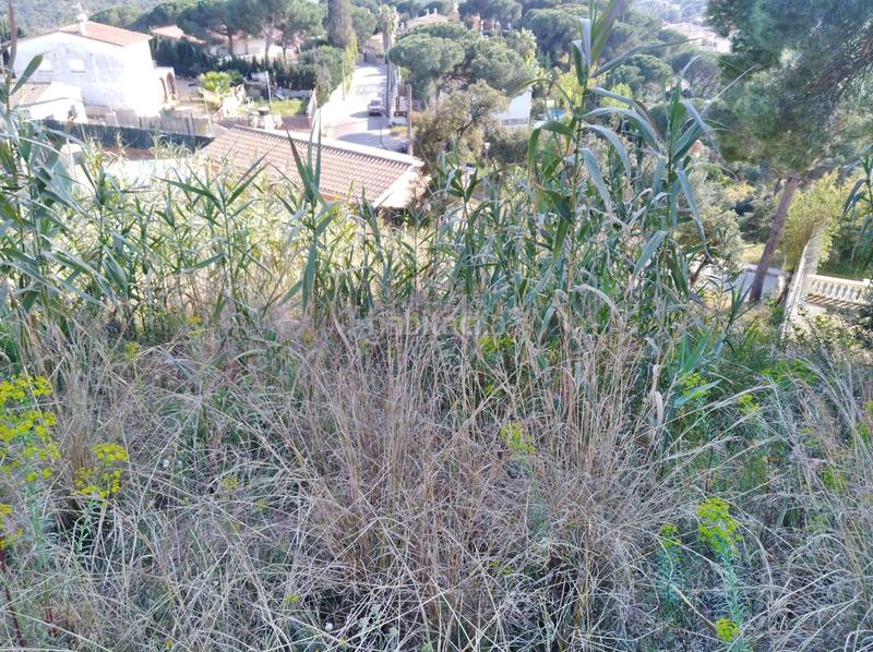 Foto a78b4246-4a8c-4eeb-9bae-93ca2a71aaca. Terreno residenziale in Mas Mora-Sant Daniel Tordera