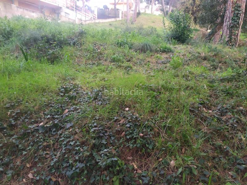 Foto 2795b228-dfb1-4b31-9e2f-2e65c7cc9345. Terreno residenziale in Mas Mora-Sant Daniel Tordera