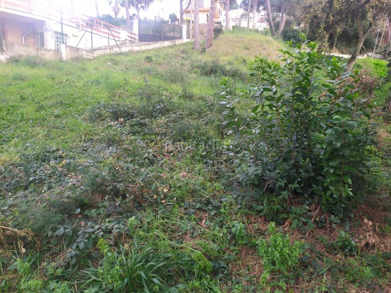 Foto cc7f8e03-f1f3-48cb-8460-b51ba4daffdb. Terreno residenziale in Mas Mora-Sant Daniel Tordera