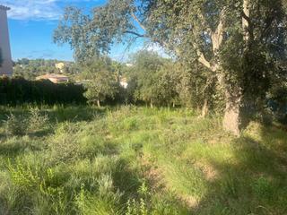 Residential Plot in Sils