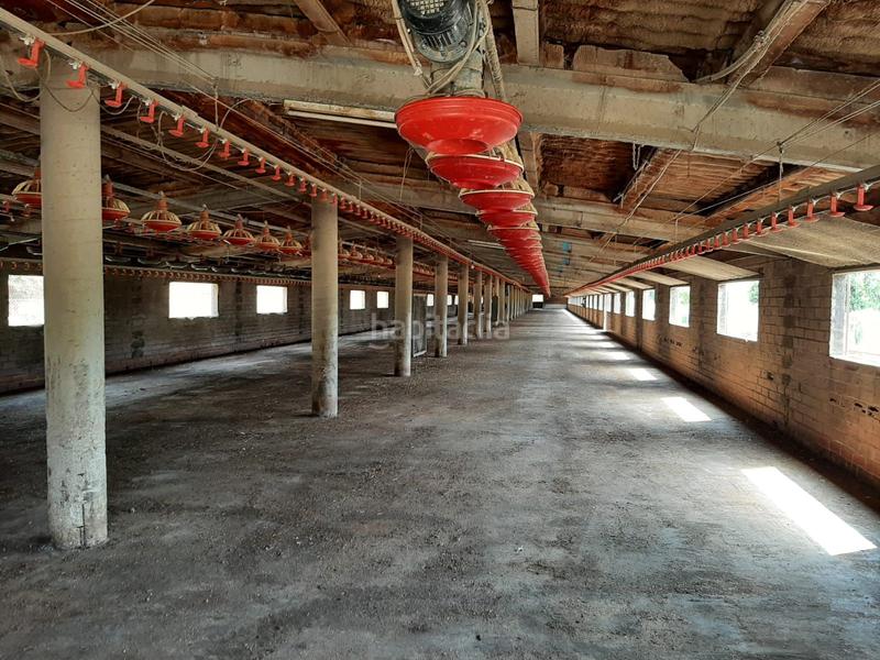 Foto 3dd230f6-1708-4462-bd08-1cf52dbe3ecb. Mas dans Brunyola i Sant Martí Sapresa