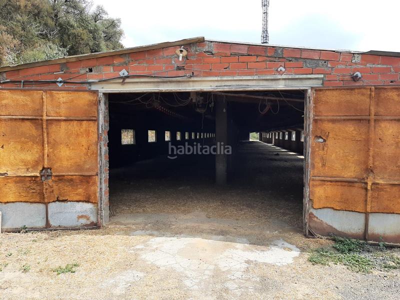 Foto 676adf71-d98b-4699-8f25-c5b0c90c060b. Mas dans Brunyola i Sant Martí Sapresa