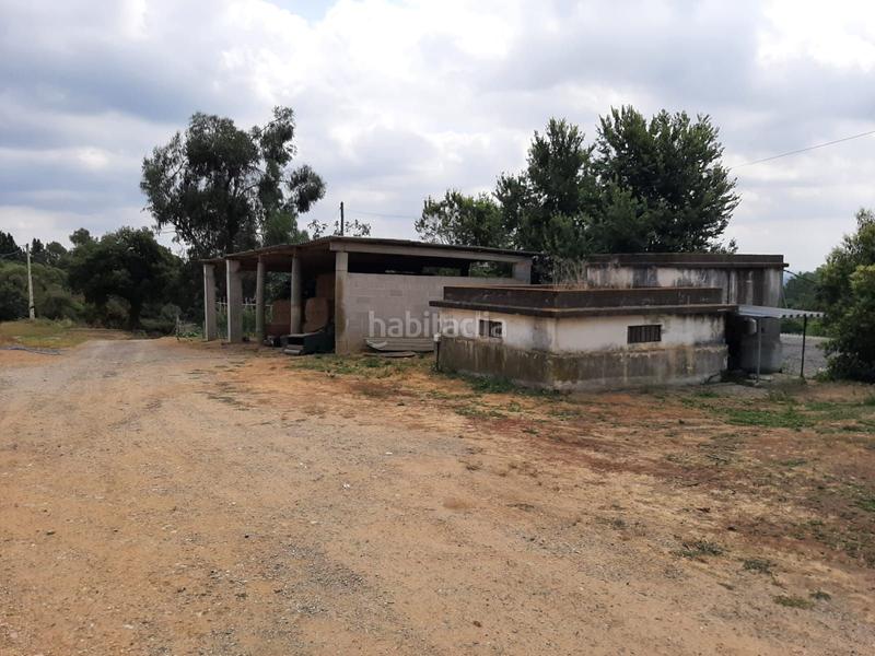 Foto 67b15716-8b2d-4170-8730-ba76e3e6bb56. Mas dans Brunyola i Sant Martí Sapresa