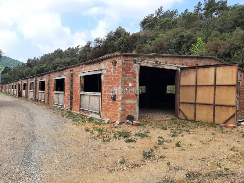 Foto 944117b8-b44c-45dc-b139-2813150f20d5. Mas dans Brunyola i Sant Martí Sapresa