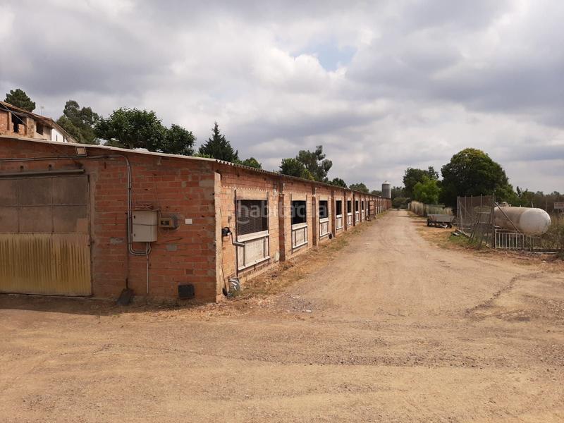 Foto b5a23aac-8924-4685-b03c-29c1a3739f5c. Mas dans Brunyola i Sant Martí Sapresa
