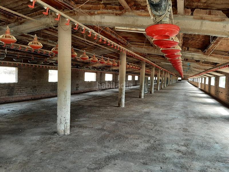 Foto fff6cb2f-1f6e-400c-8a92-a01fa34b0735. Mas dans Brunyola i Sant Martí Sapresa