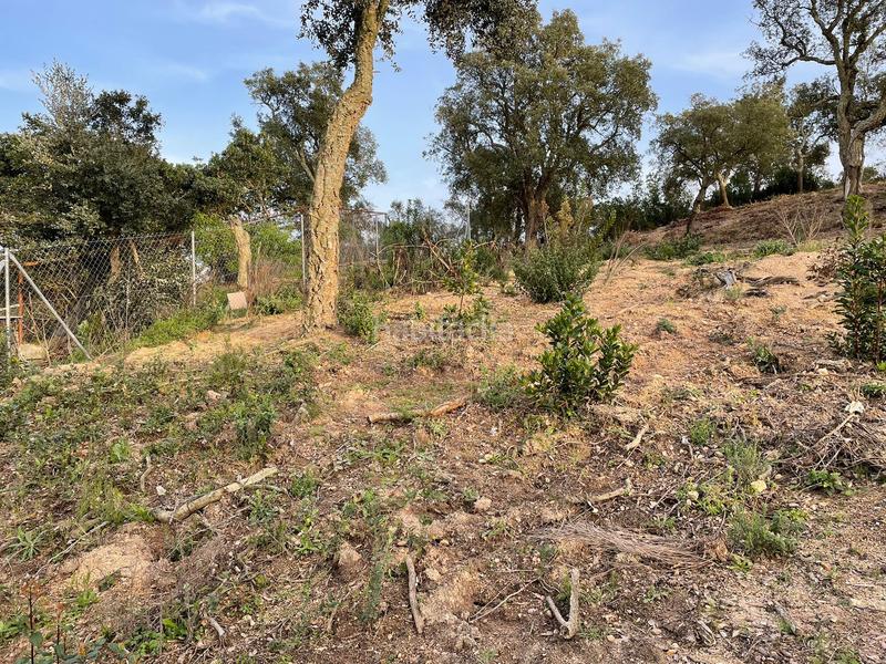 Foto 341ce86d-f7d0-43f4-9fdd-614fd5fd3e64. Terreny residencial a Montbarbat Maçanet de la Selva