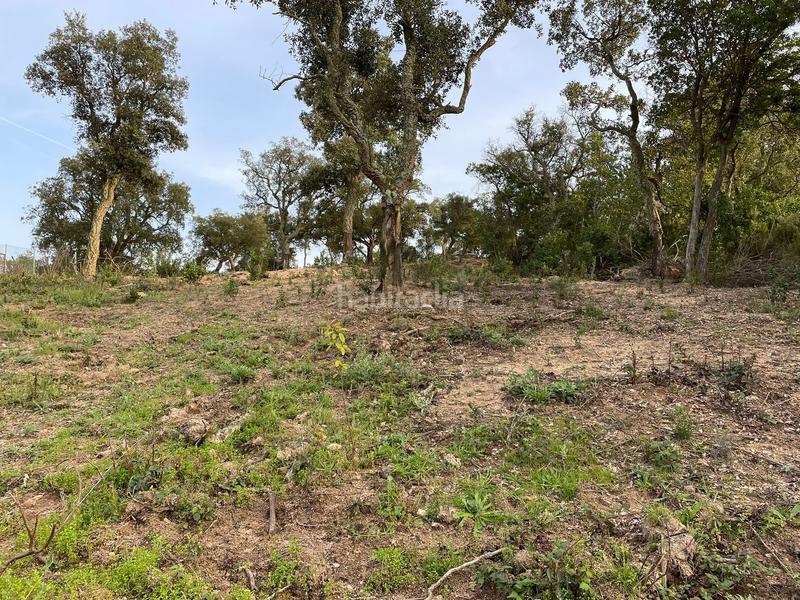 Foto 844fefdc-65ca-4a78-b8a9-cb15d6983b55. Terreny residencial a Montbarbat Maçanet de la Selva