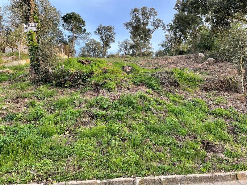 Foto 2df88917-85c9-422b-a441-b6fbb9d1e617. Residential plot in Montbarbat Maçanet de la Selva
