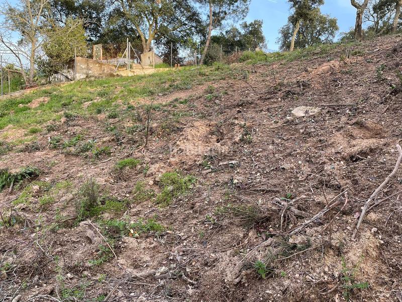 Foto 387a1db1-7d73-474b-9c7b-03a793ddc5ee. Residential plot in Montbarbat Maçanet de la Selva