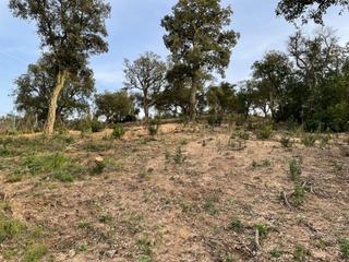 Residential Plot in Montbarbat