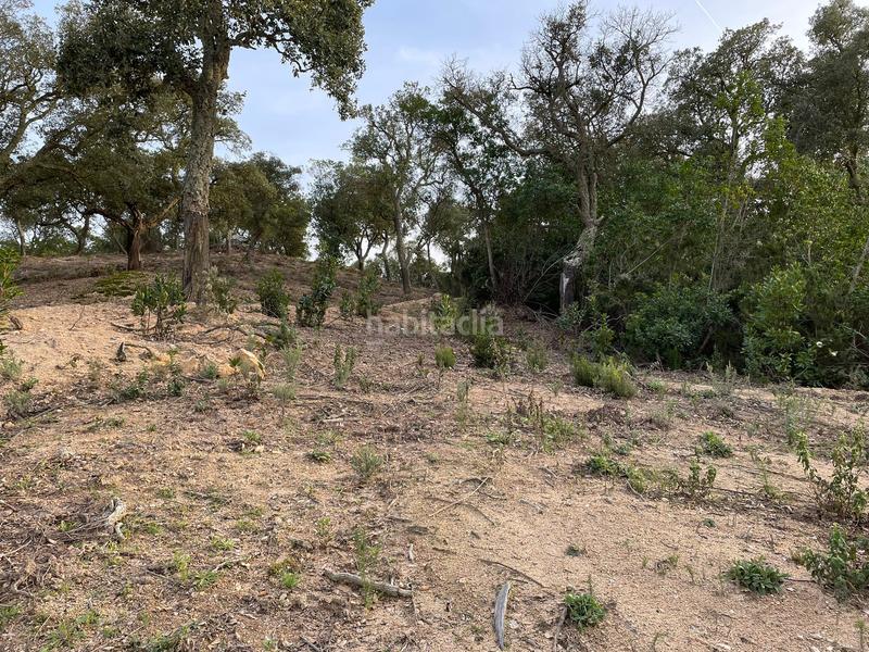 Foto 6fc10245-577c-4476-9349-e70fb349f1d6. Terrain résidentiel dans Montbarbat Maçanet de la Selva