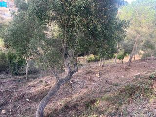 Terreny residencial a Lloret Blau - La Creu de Lloret. Terreno en lloret blau