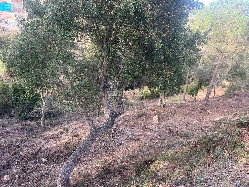 Foto 4fbbe72b-271f-4063-9f32-b2f58c28f270. Terreny residencial a Lloret Blau - La Creu de Lloret Lloret de Mar