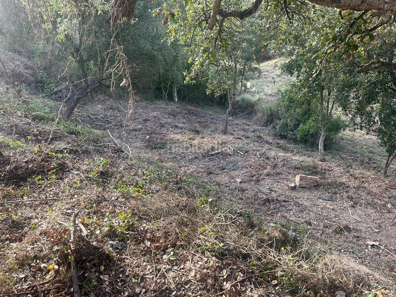 Foto 58827774-cb28-474b-bf5b-9e76e74676f7. Terreny residencial a Lloret Blau - La Creu de Lloret Lloret de Mar