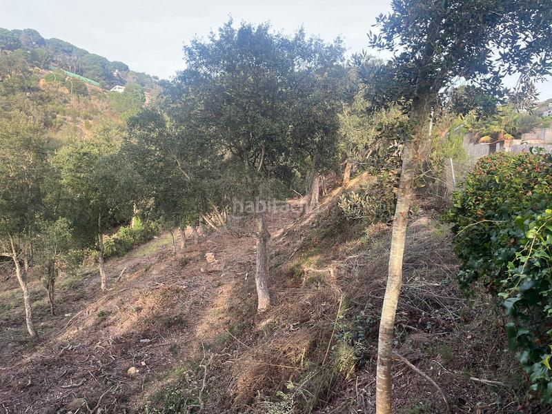 Foto ff166ccb-7df2-409e-b0ee-0b7636f5ae4e. Terreny residencial a Lloret Blau - La Creu de Lloret Lloret de Mar