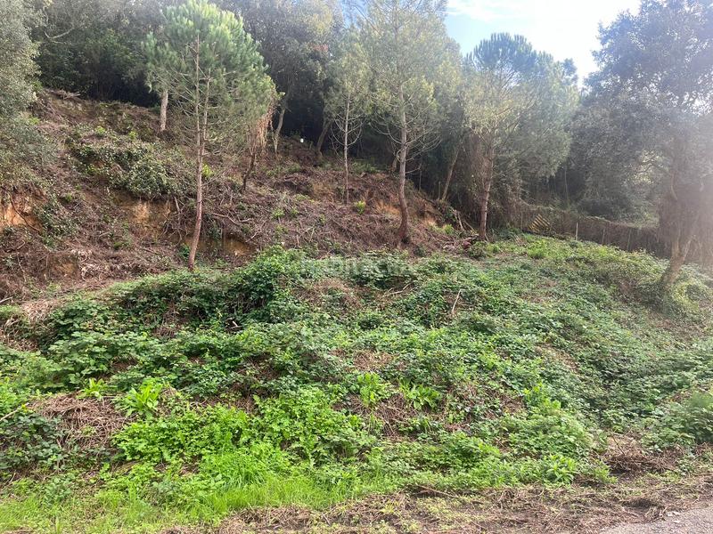 Foto 88b7e99a-68be-4b8b-8b09-c85a6aa6d754. Residential plot in Lloret Residencial - Montlloret Lloret de Mar