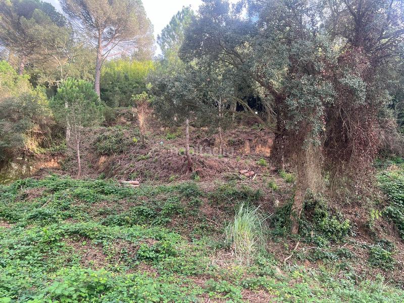 Foto b1a99be2-1856-4413-8fbe-6ebdbfe95e8e. Residential plot in Lloret Residencial - Montlloret Lloret de Mar