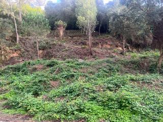 Terreno residencial en Lloret Residencial - Montlloret. Terreno en lloret blau