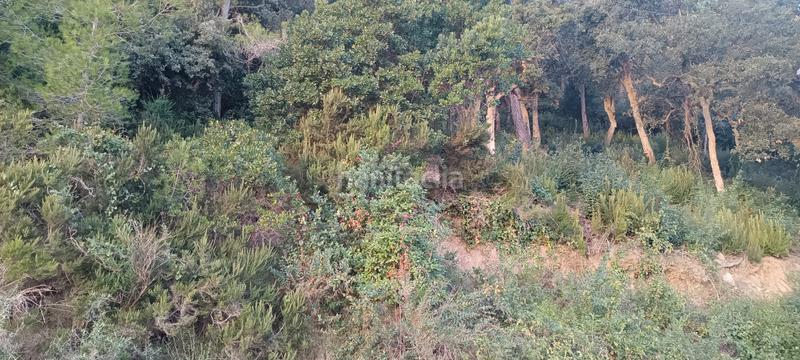 Foto 10c97818-88e1-4434-a57f-c7786a1bccc4. Terreno residencial terreno en urbanización ciutat jardí en Palafolls