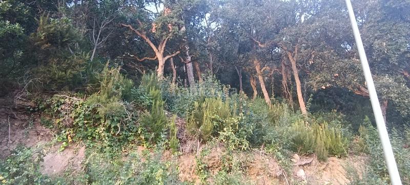 Foto 11c90379-1f83-483f-9de6-36680cc14f2e. Terreno residencial terreno en urbanización ciutat jardí en Palafolls