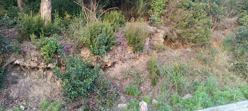 Foto 99f44b3a-6f1a-47e9-a6f1-7e56ba9db39f. Terreno residencial terreno en urbanización ciutat jardí en Palafolls